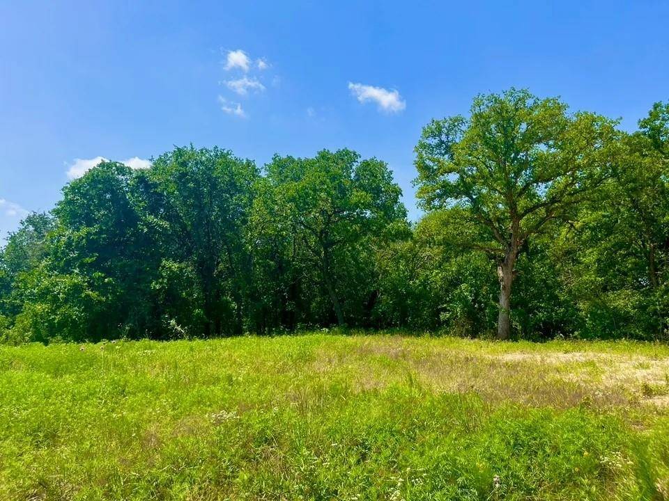 Poolville, TX 76487,Lot 49 Wicklow Ct