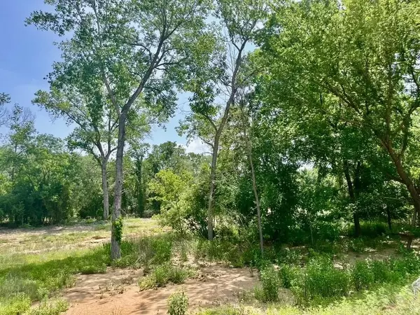 Poolville, TX 76487,Lot 46 Antrim Ct