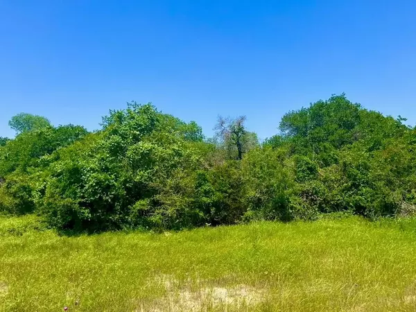 Lot 48 Antrim Ct, Poolville, TX 76487