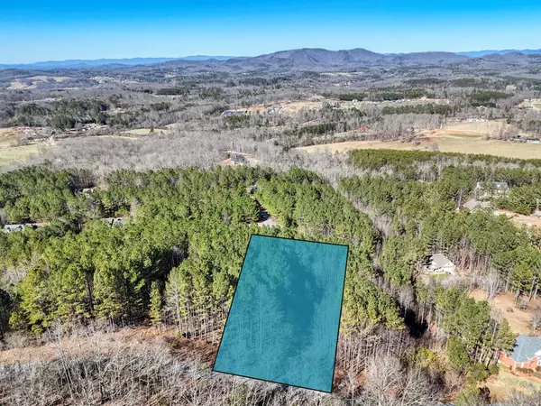 Blairsville, GA 30512,Lot 24 Loftis Mountain