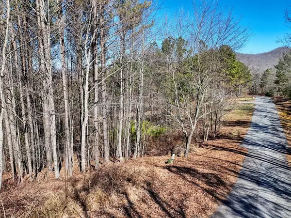 Blairsville, GA 30512,Lot 24 Loftis Mountain