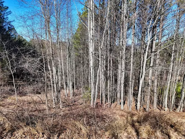 Blairsville, GA 30512,Lot 24 Loftis Mountain