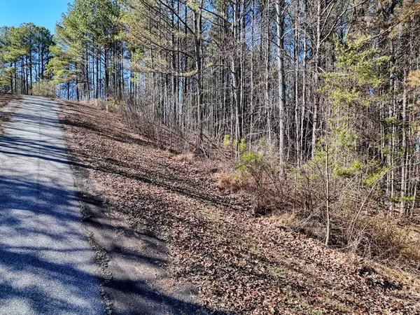 Blairsville, GA 30512,Lot 24 Loftis Mountain