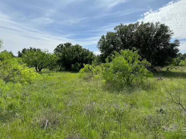 180 Woods Landing Drive,  Brownwood,  TX 76801