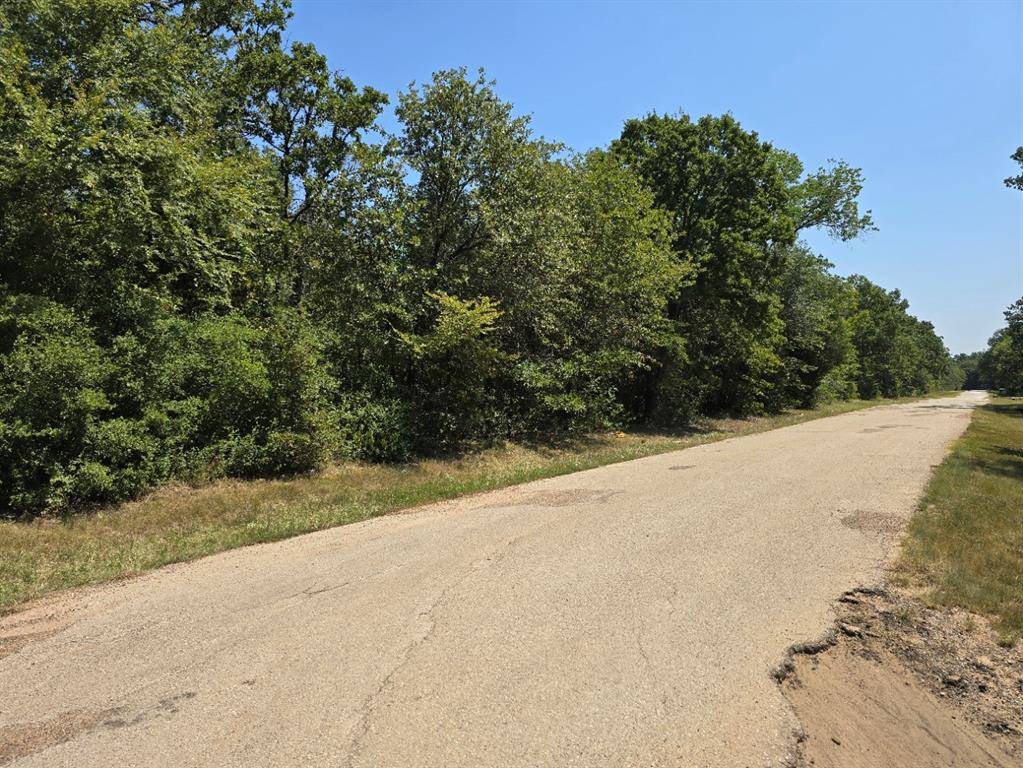 Mabank, TX 75156,TBD Brokenbow Drive