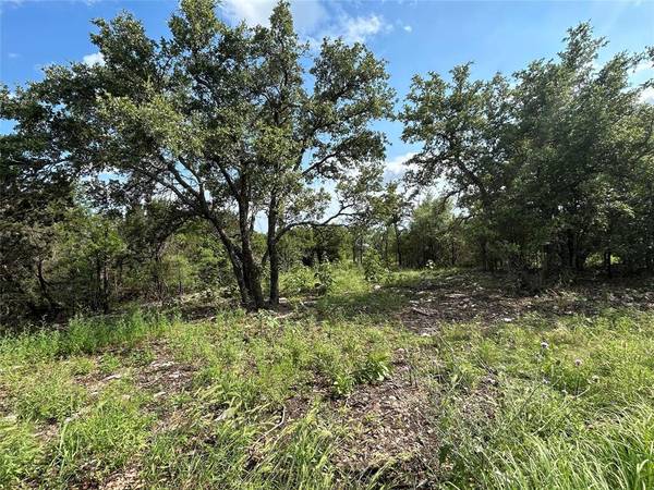 Bluff Dale, TX 76433,TBD Beacon Lake Drive