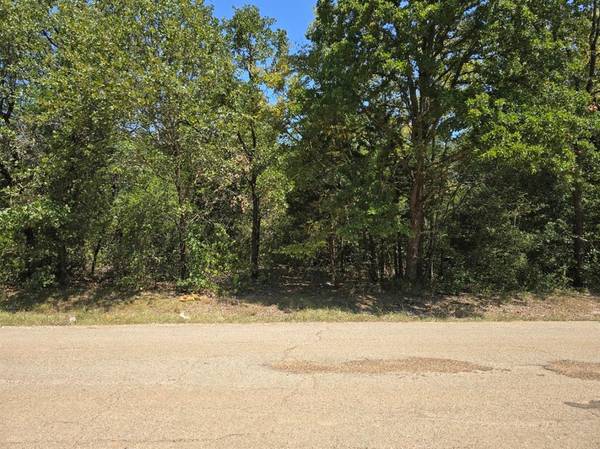 Mabank, TX 75156,TBD Brokenbow Drive