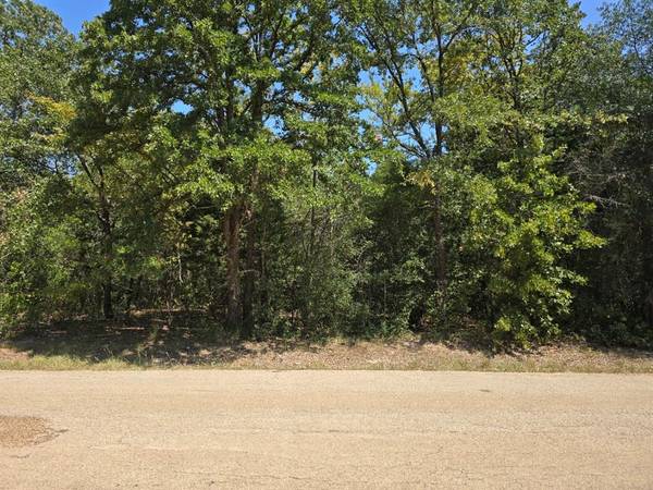 Mabank, TX 75156,TBD Brokenbow Drive