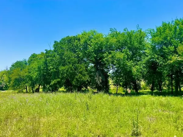 Lot 89 Kerry Ct, Poolville, TX 76487