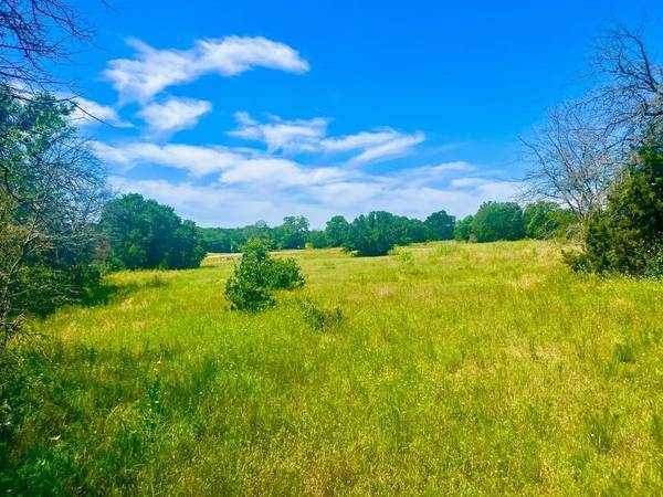 Lot 95 Kerry Ct, Poolville, TX 76487