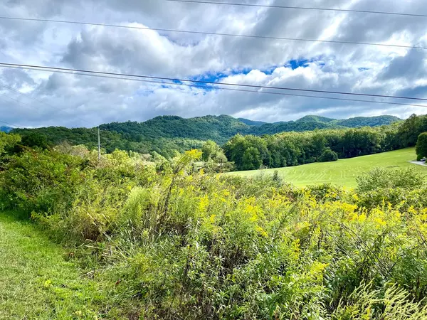 Hayesville, NC 28904,LOT 18 Carolie View