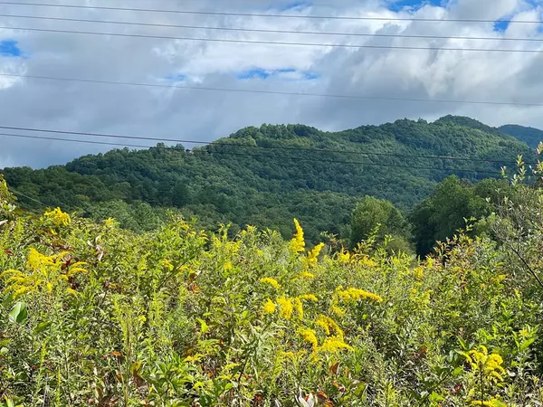 Hayesville, NC 28904,LOT 18 Carolie View