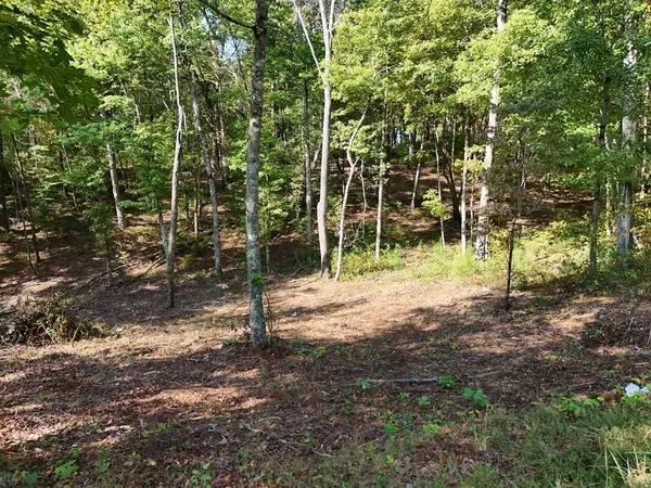 Lot 52 Hilton Drive, Ellijay, GA 30540