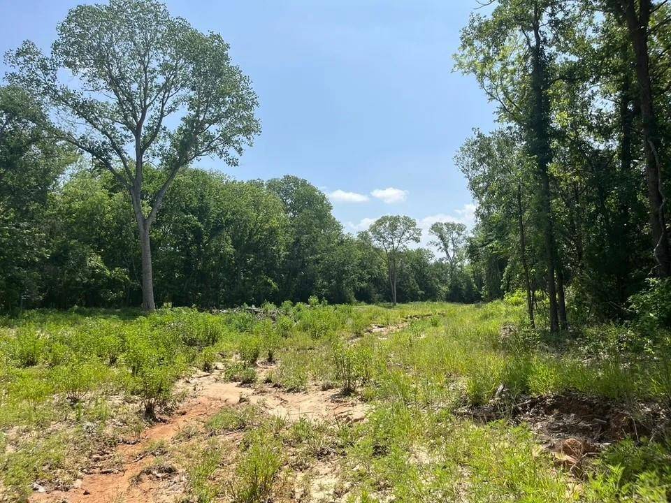 Poolville, TX 76487,Lot 45 Antrim Ct