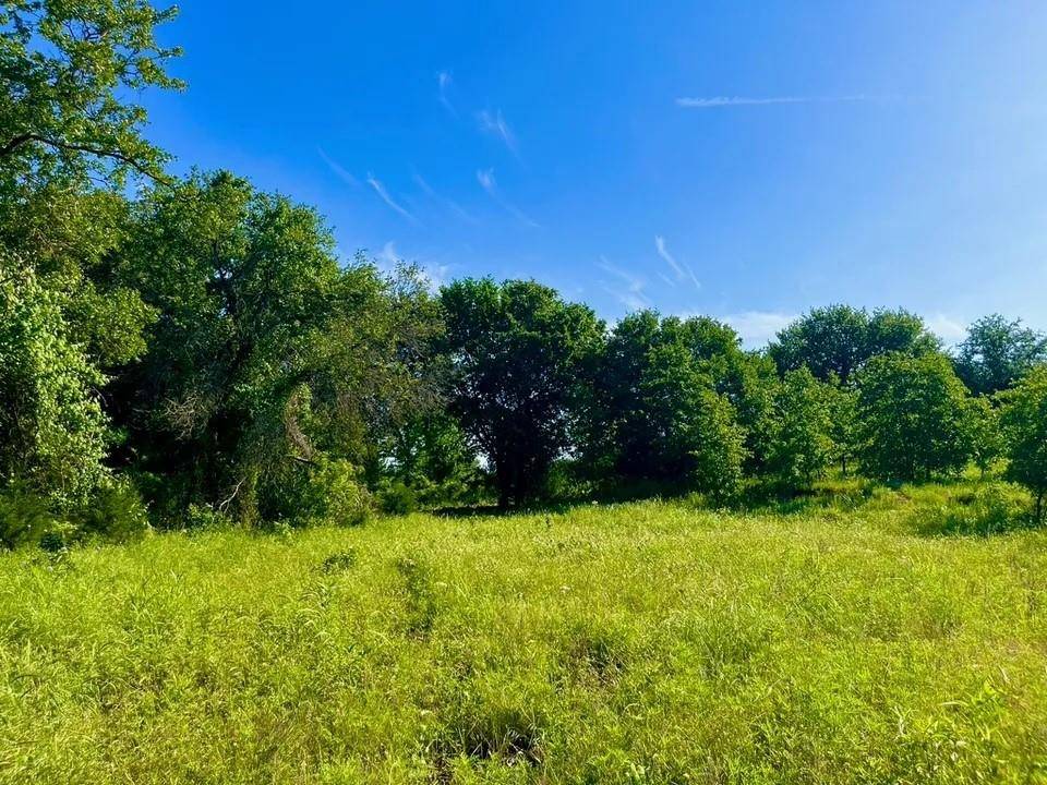 Poolville, TX 76487,Lot 53 Wicklow Ct