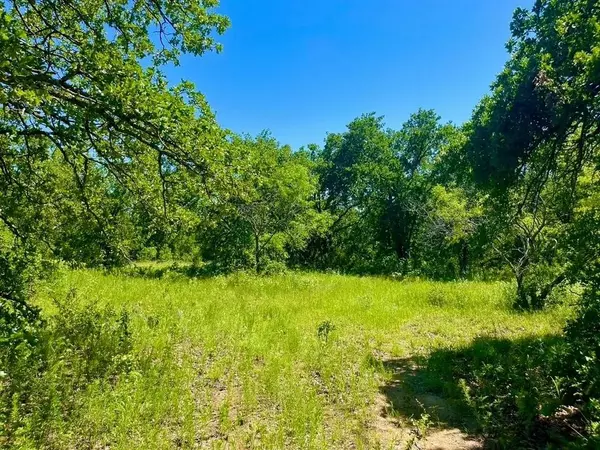 Lot 39 Kilkenny Rd, Poolville, TX 76487