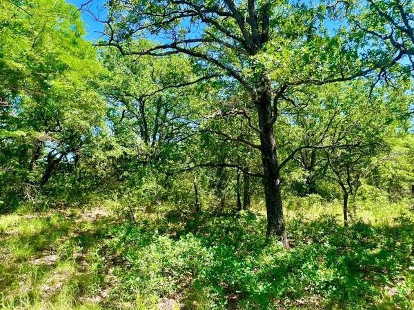 Poolville, TX 76487,Lot 39 Kilkenny Rd