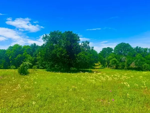 Lot 100 Arlow Road, Poolville, TX 76487