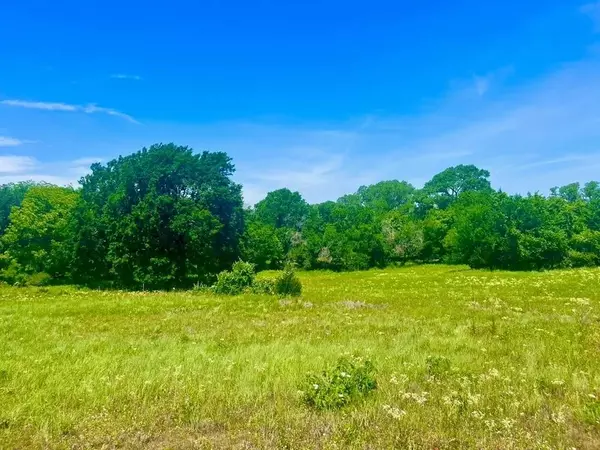 Poolville, TX 76487,Lot 100 Arlow Road