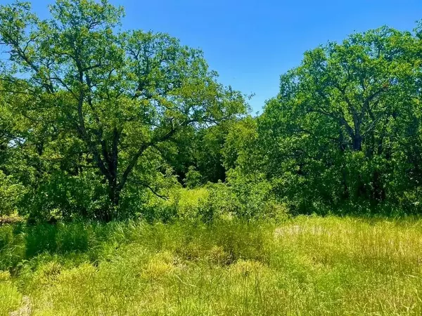 Lot 40 Kilkenny Road, Poolville, TX 76487