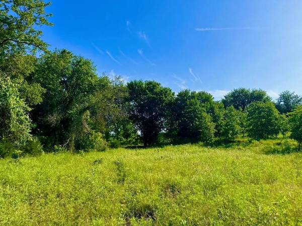 Lot 53 Wicklow Ct, Poolville, TX 76487