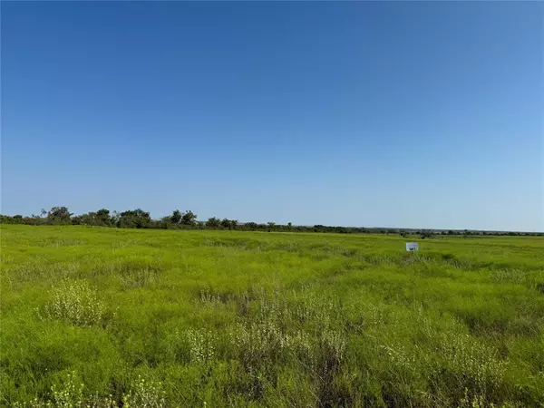 Hamilton, TX 76531,Lot 1 Private Road 6332