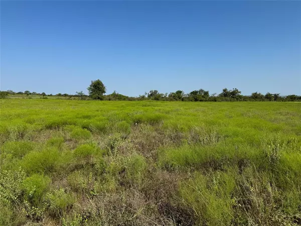 Hamilton, TX 76531,Lot 1 Private Road 6332