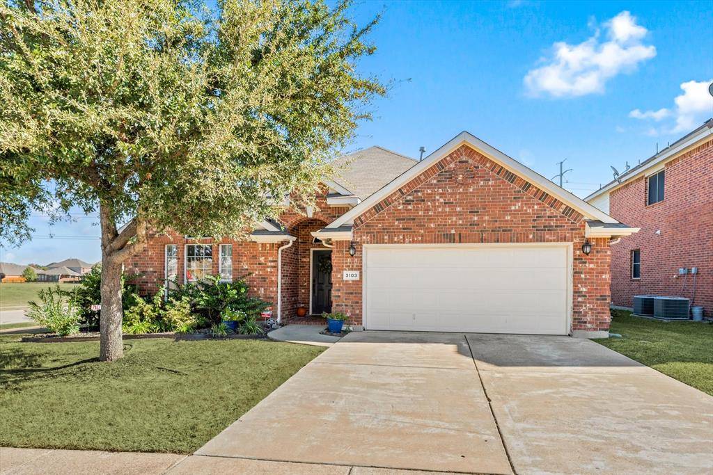 Grand Prairie, TX 75054,3103 Guadaloupe