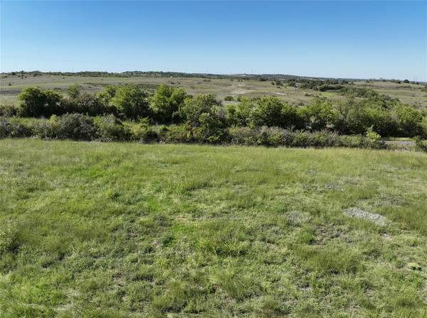 Weatherford, TX 76085,Lot 7 Old Springtown Rd Road