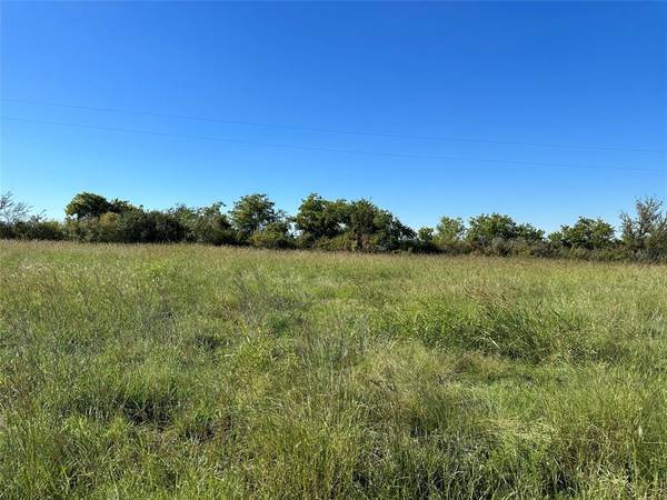 Weatherford, TX 76085,Lot 7 Old Springtown Rd Road