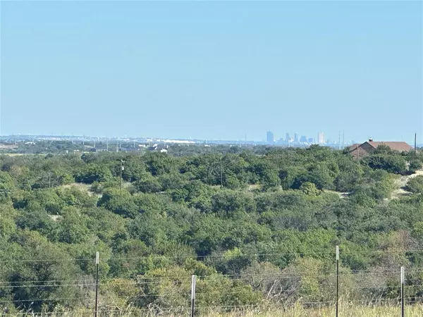 Weatherford, TX 76085,Lot 8 Old Springtown Rd Road