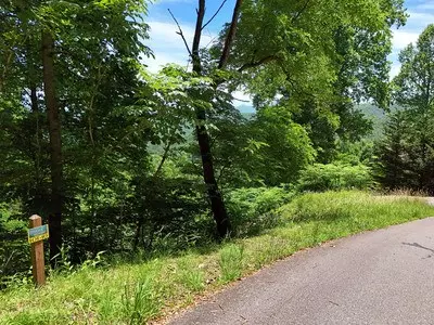 Hiawassee, GA 30546,Lot 10 Hidden Summit Road