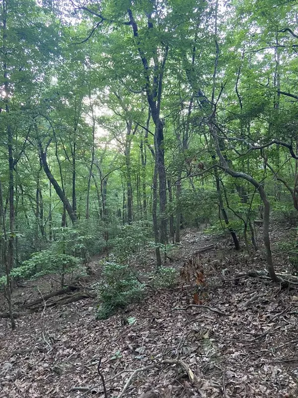 Ellijay, GA 30536,Lot 57 Cherokee Circle