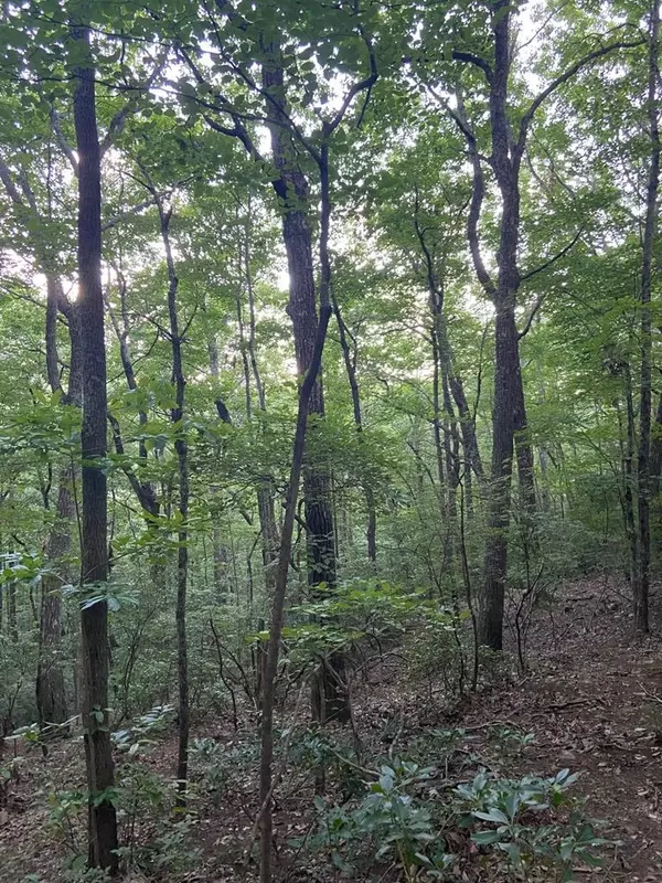 Ellijay, GA 30536,Lot 58 Cherokee Circle