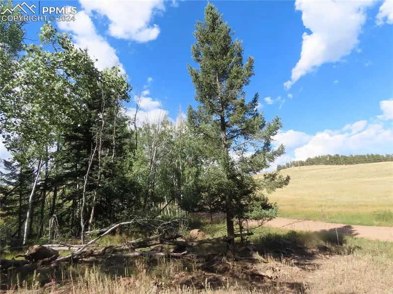 471 Horseshoe TRL, Florissant, CO 80816