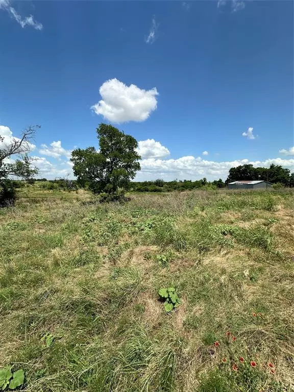 Cleburne, TX 76033,3517 County Road 1224