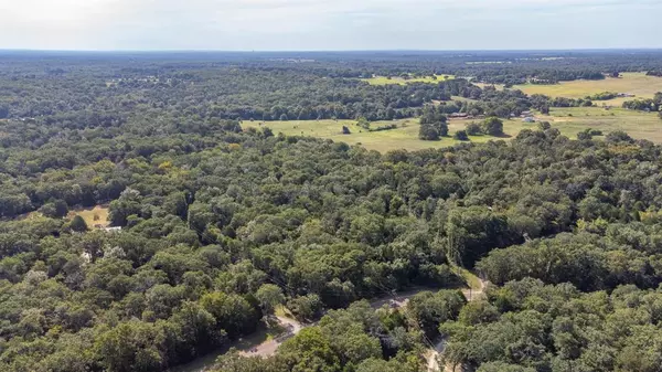 Eustace, TX 75124,TBD CR 2915 Road