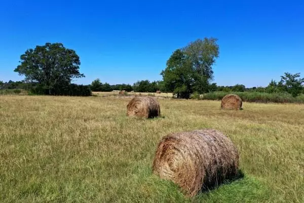 Quinlan, TX 75754,0000 CR 2537