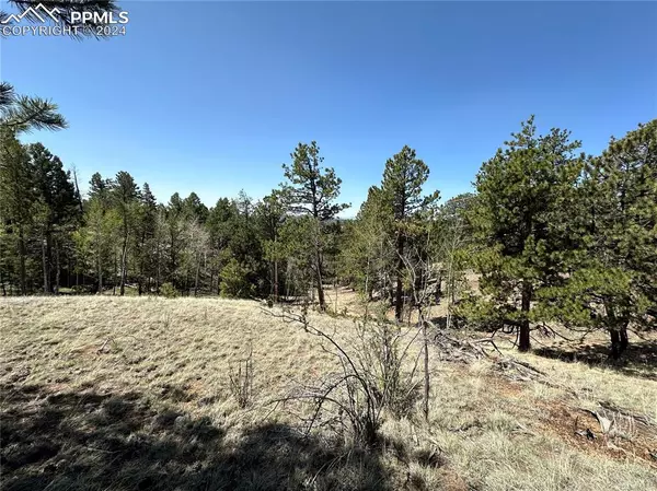 186 Kenosha WAY, Florissant, CO 80816