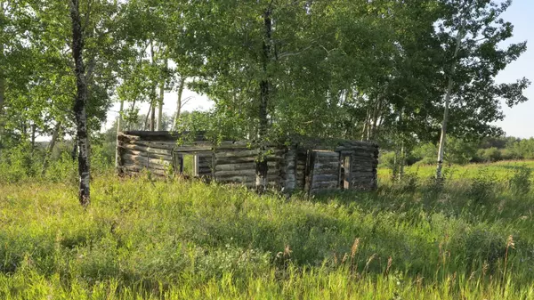 Rural, SK S0M 2T0,NE 5-55-20-3