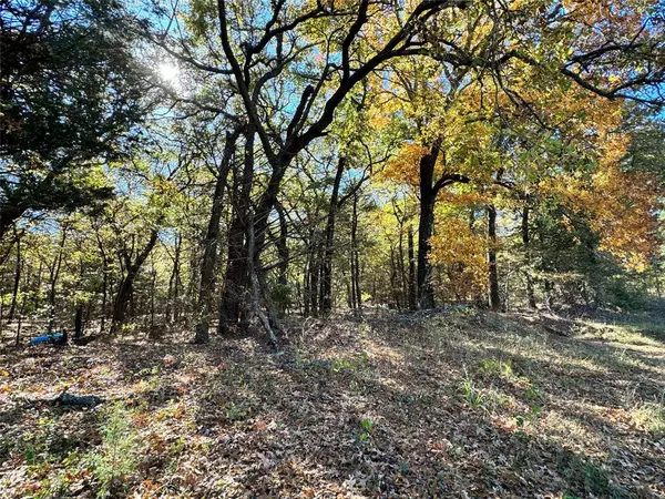 Gainesville, TX 76240,TBD Lot 9 Clark Road