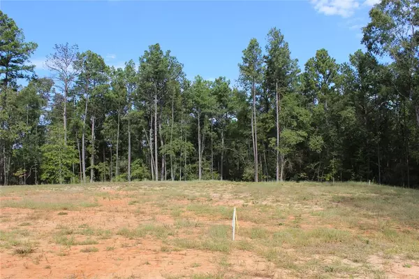 Minden, LA 71055,314 Wilderness Trail