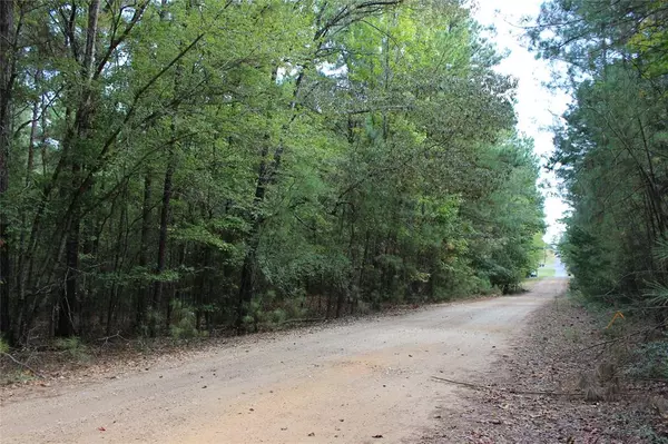 Minden, LA 71055,314 Wilderness Trail