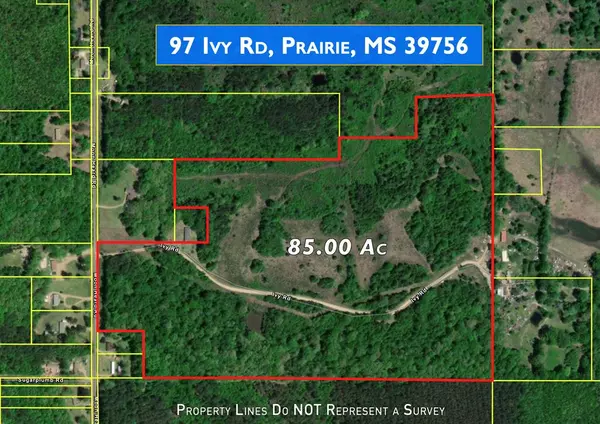 Prairie, MS 39756,97 Ivy Road