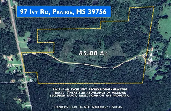 Prairie, MS 39756,97 Ivy Road