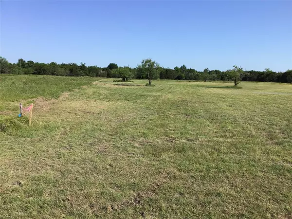 1013 White Bluff Drive, Whitney, TX 76692