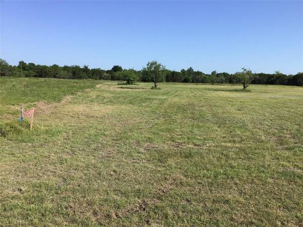 1013 White Bluff Drive,  Whitney,  TX 76692