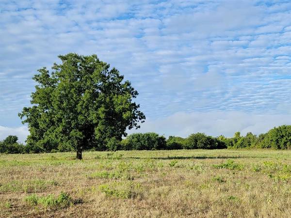 Whitesboro, TX 76273,TBD County Road 127