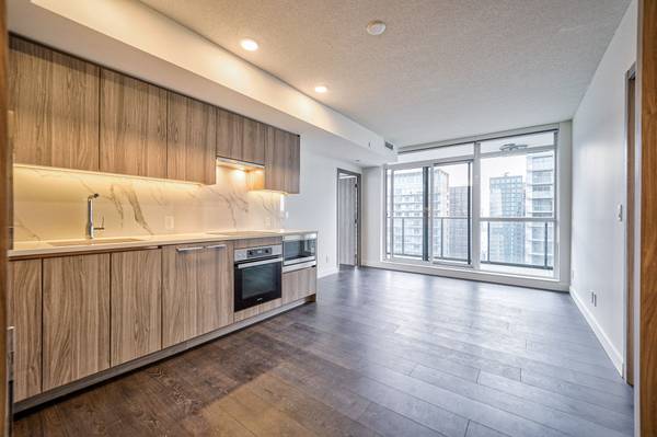 38 Widmer ST #4906,  Toronto C01,  ON M5V 0P7