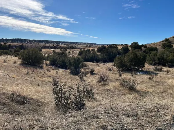 Pueblo, CO 81004,TBD Kaitlyn Dr